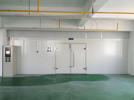 泉州專業(yè)恒溫恒濕老化房-廠